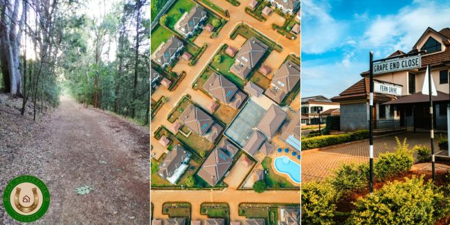 10 Reasons Why The Horseshoe Village Is An Oasis Of Calm In The City